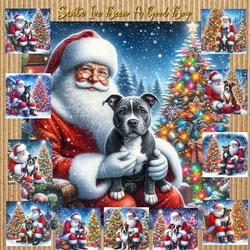 Santa Ive Been A Good Boy