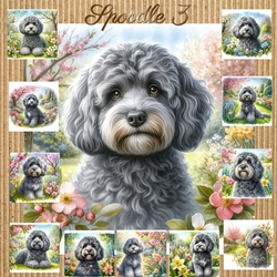 Spoodle 3
