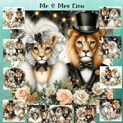 Mr & Mrs Lion