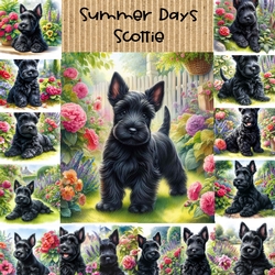 Summer Days Scottie