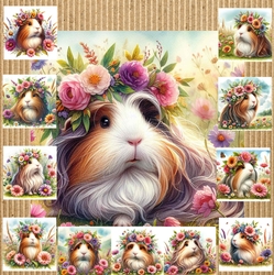 Flower Corwn Guinea Pig 1