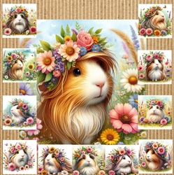 Flower Corwn Guinea Pig 2