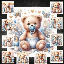 Baby Boy Bear