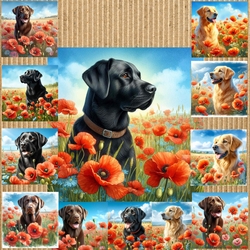 Poppy Field Mix 3