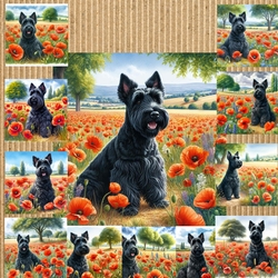Scotty Poppy Field