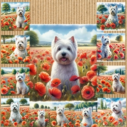 Westie Poppy Field