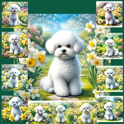 Daffodil Garden Bichon