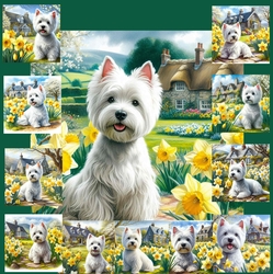 Daffodil Garden Westie