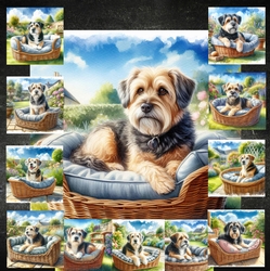 Golden Days Dogs