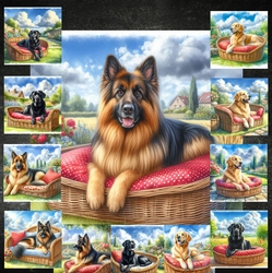 Summer Days Dogs 1