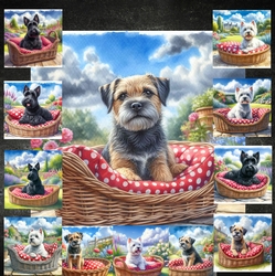 Summer Days Dogs 2