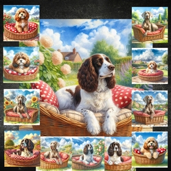 Summer Days Dogs 5