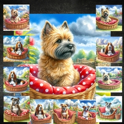 Summer Days Dogs 6