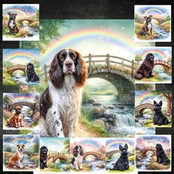 Rainbow Bridge Dogs 3