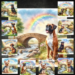 Rainbow Bridge Dogs 8