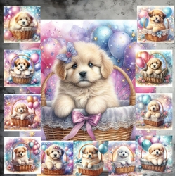 Basket Pup 2