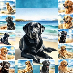 Beach Dogs 2