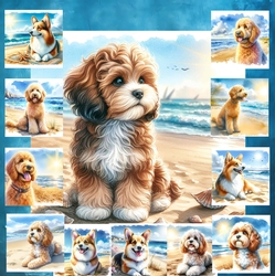 Beach Dogs 7