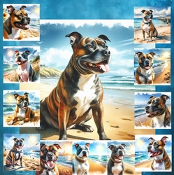 Beach Dogs 8