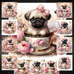 Teacup Pups 3