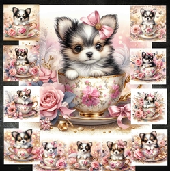 Teacup Pups 4