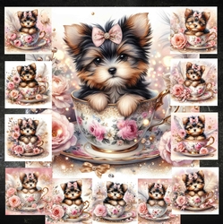 Teacup Pups 6