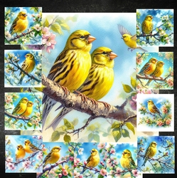 Canaries