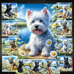 Daisy Pond Dogs 3