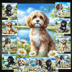 Daisy Pond Dogs 6