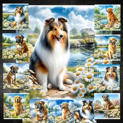 Daisy Pond Dogs 10