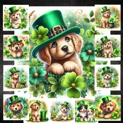 St Patricks Puppy 