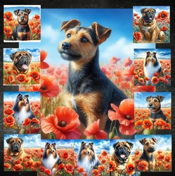 Beautiful Poppy Field Dogs 1