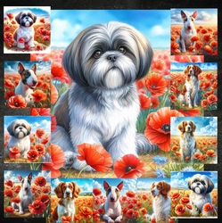 Beautiful Poppy Field Dogs 2