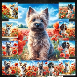 Beautiful Poppy Field Dogs 4