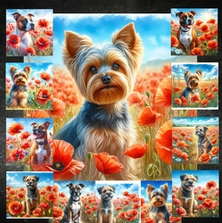 Beautiful Poppy Field Dogs 7