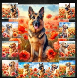 Beautiful Poppy Field Dogs 11