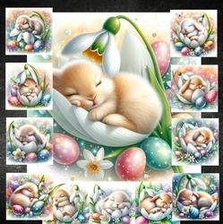 Snowdrop Bunnie