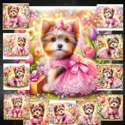 Tulip Yorkie