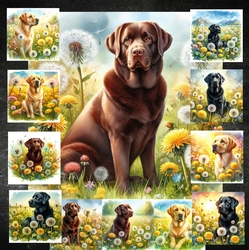 Wishing Meadow Dogs 1