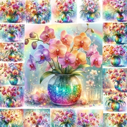 Rainbow Orchids 