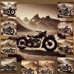 Vintage Motorbikes