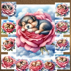 Sleepy Rose Puppy