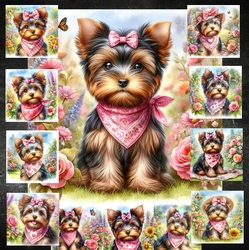 Spring Meadow Dogs 10