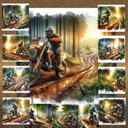 Dirt Bike 1