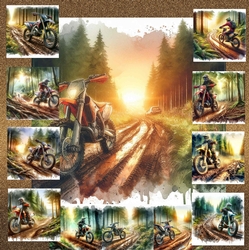 Dirt Bike 2