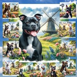 Windmill Dogs 8