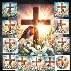 Beautiful Cross Robin 1