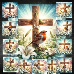 Beautiful Cross Robin 2