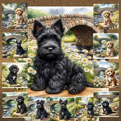 Daisy Creek Pups 7