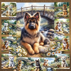 Daisy Creek Pups 8